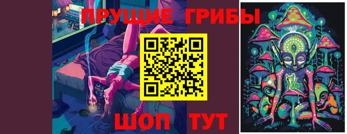 Псилоцибиновые грибы ЛСД  Вход с VPN  Кунгур  Псилоцибиновые грибы GOLDEN TEACHER 